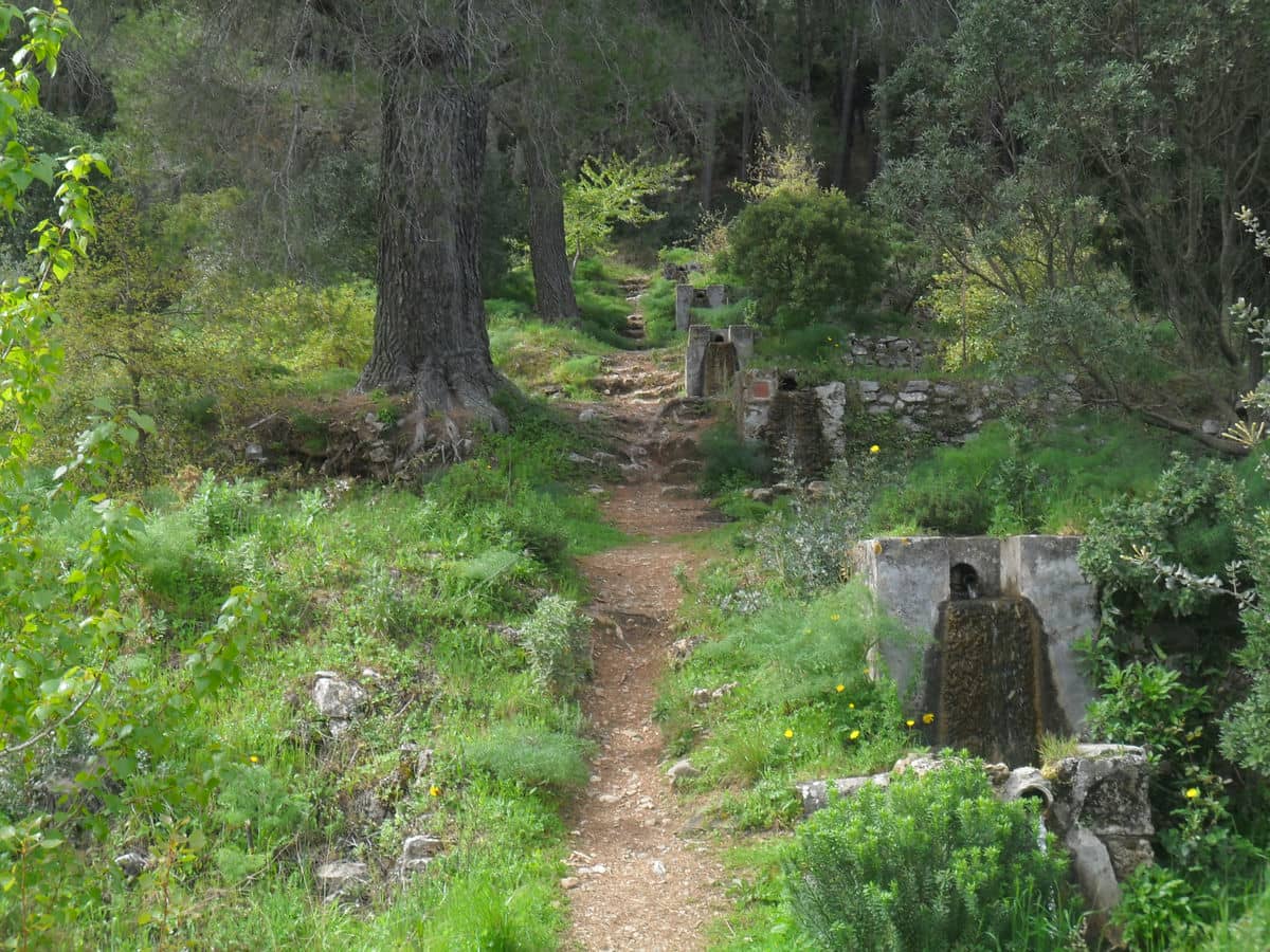 La fotografía de www.alhaurinesdeporte.com (I)