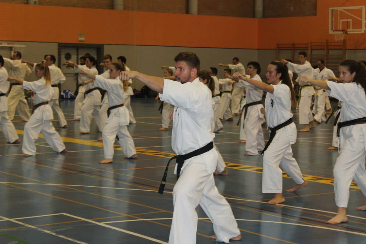 El Limón acogió el III Encuentro de Kyokushin. Hoy, conocemos todos los detalles en un amplio reportaje