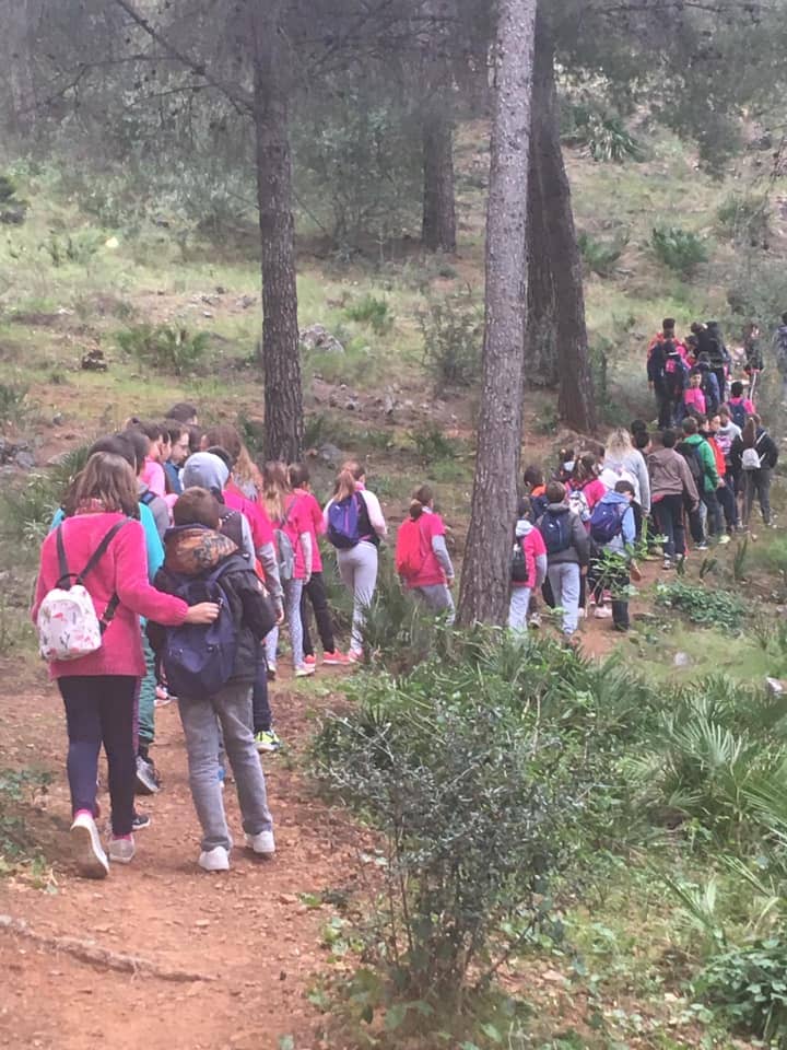 El CEIP Algazara sale de excursión