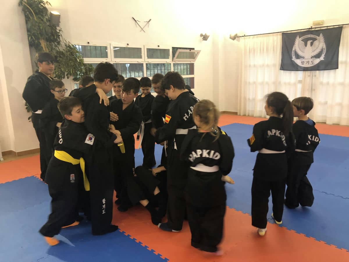 La defensa personal es la clave de las clases de hapkido que acoge la Asociación de Pinos de Alhaurín