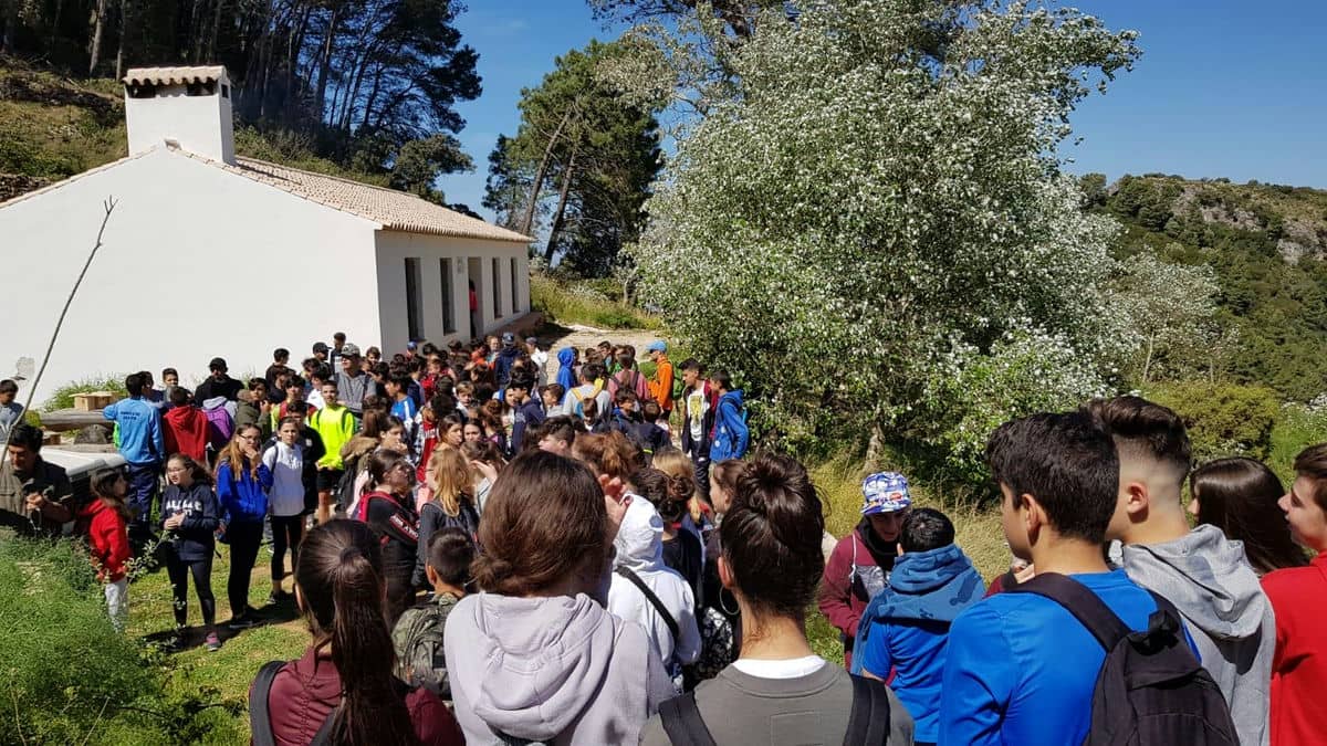 Alhaurín por Sendero de actividad por Jarapalos