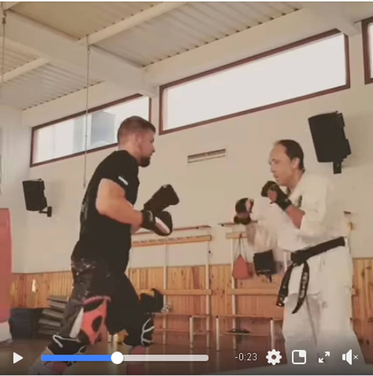 Echamos una ojeada a un entrenamiento en Kyokushin Alhaurin de la torre – Sakura Dojo