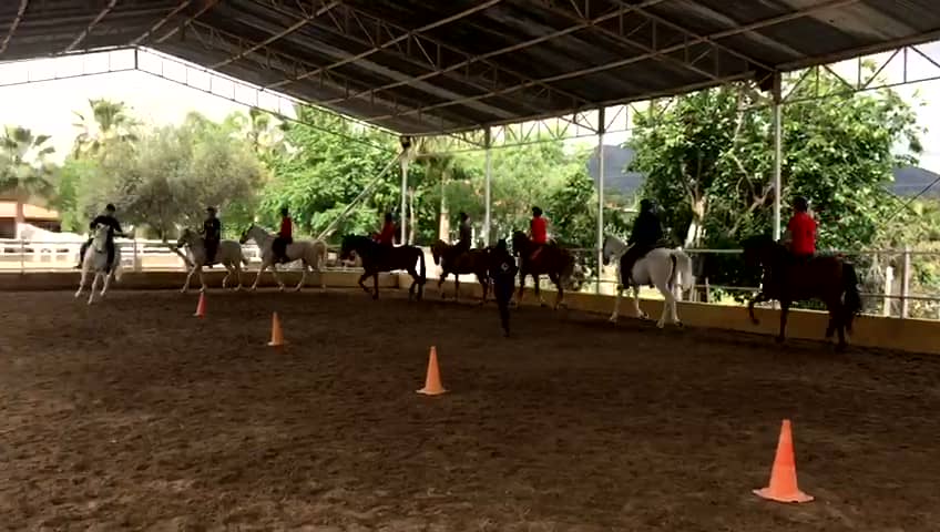 Así se aprende a montar a caballo en el Centro Ecuestre Víctor López