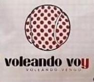 Logo del Voleando Voy